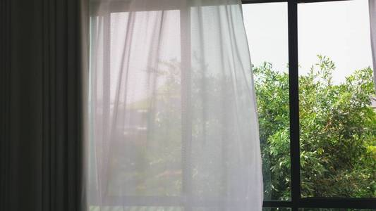 透明的窗帘, 轻轻的被风吹动.窗外你可以看到树的绿叶照片