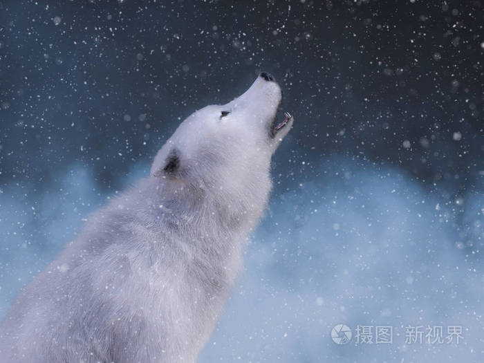 三维渲染一只雄伟的白狼坐下来嚎叫周围是神奇的雪