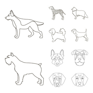 矢量插图可爱和小狗标志。收集可爱和动物向量图标的股票