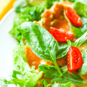 绿色素食沙拉饮食和健康饮食食谱风格的概念