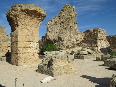 考古矿区迦太基迦太基,古代迦太基文明的首都遗址.