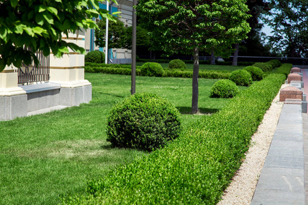 落叶常绿绿化草坪用常绿灌木丛和落叶乔木靠近人行道的石瓦,覆盖