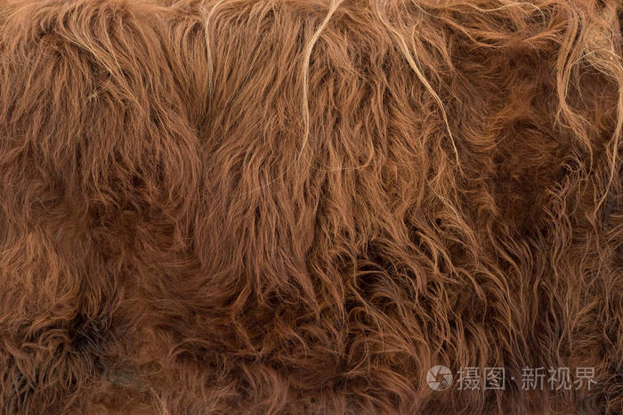 牛毛背景纹理图像背景