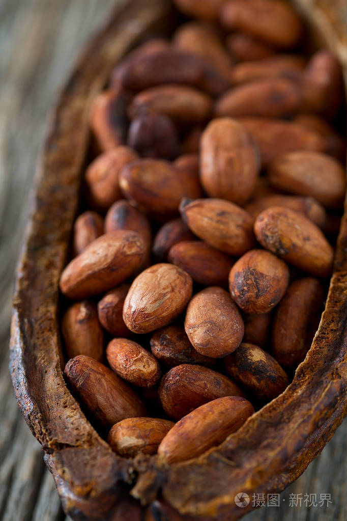 新鲜的棕色可可豆
