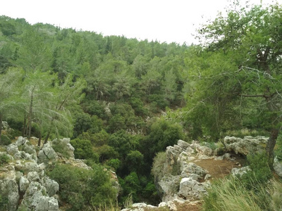 森林低山丘陵岩石和石头的自然景观。