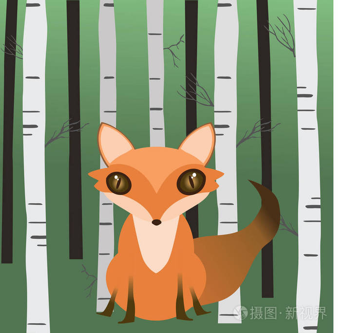 一只可爱的狐狸坐在树林里，有桦树和树。