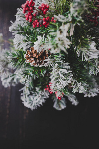 小圣诞树的细节，雪槲寄生和松果装饰，舒适的节日寒假感觉
