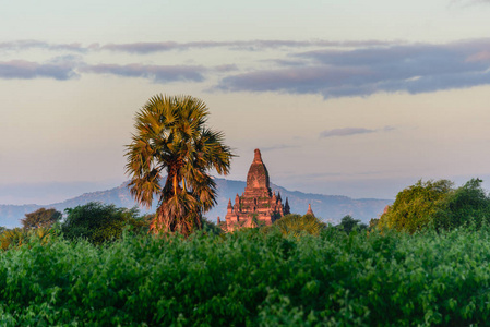 巴甘缅甸白天景色图片