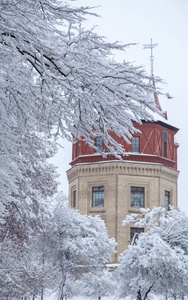 雪中的灯笼，雪树和基辅市的背景