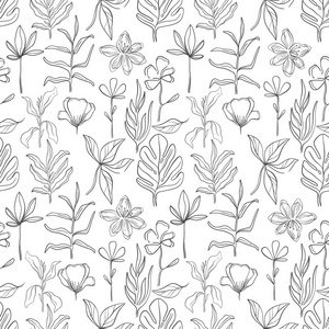 手绘图案素描风格野花. 线条自然风格的弗洛拉和绘制植物学. 矢量图.