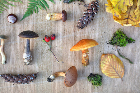 森林蘑菇锥和叶子。 秋季自然背景