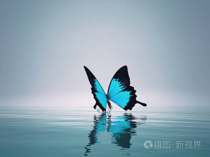 海上的一只蓝色蝴蝶这是3d渲染图