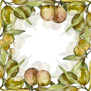 框架与绿色橄榄和叶子水彩背景插图集。 水彩画时尚服装隔离。