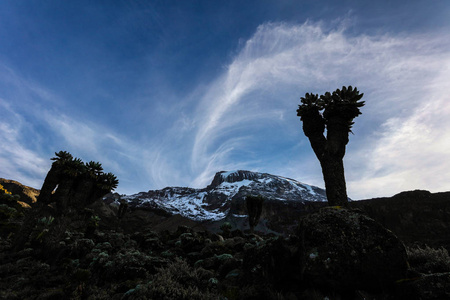 乞力马扎罗山，积雪覆盖着非洲的山峰。