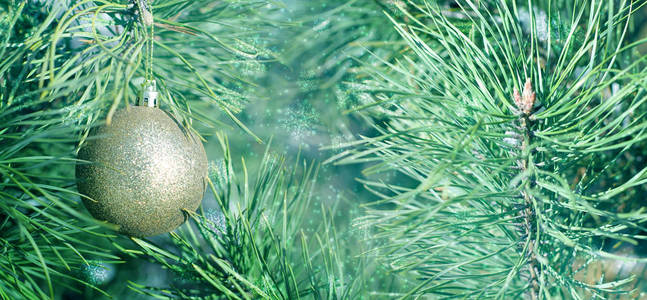 一棵常绿植物的树枝上的金色圣诞球。飘落的雪花