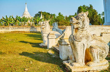 古老雕刻的钦特雕像神话中的缅甸狮子守卫德萨达塔亚寺，白色宝塔的综合体是看到香蕉花园后面的背景，阿瓦，缅甸。