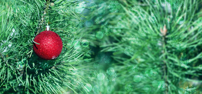 一种常绿植物的枝条上有红色的圣诞球。飘落的雪花