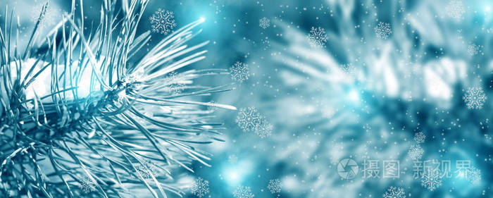 常青的松枝在美丽的，雪的，圣诞节的背景上，雪花，灯光