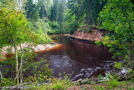 绿色夏天森林中的波浪河。 从上面的许多树叶和树木可以看到拉脱维亚的阿马塔河