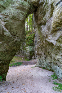 夏季拉脱维亚Gauja河附近树林中的砂岩岩层