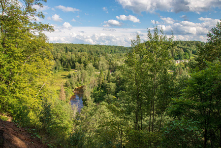 从绿色夏季的树林中的波浪状河流上方俯瞰拉脱维亚的阿马塔河