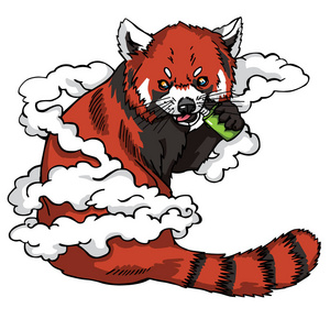 烟云中的红熊猫照片