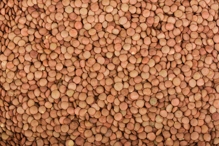 绿色加拿大大扁豆。 传统的谷类食品。 它自古以来就被使用。