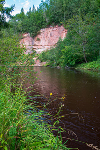 绿色夏阿马塔河拉脱维亚森林中的河流和砂岩悬崖