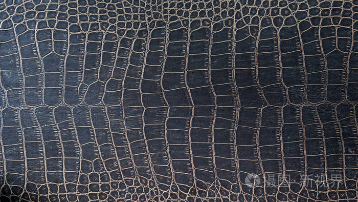 鳄鱼皮的表面鳄鱼皮为背景