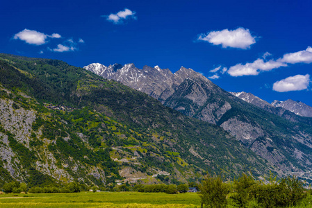 瑞士阿尔卑斯山山脉的田野和草地，瑞士瓦莱