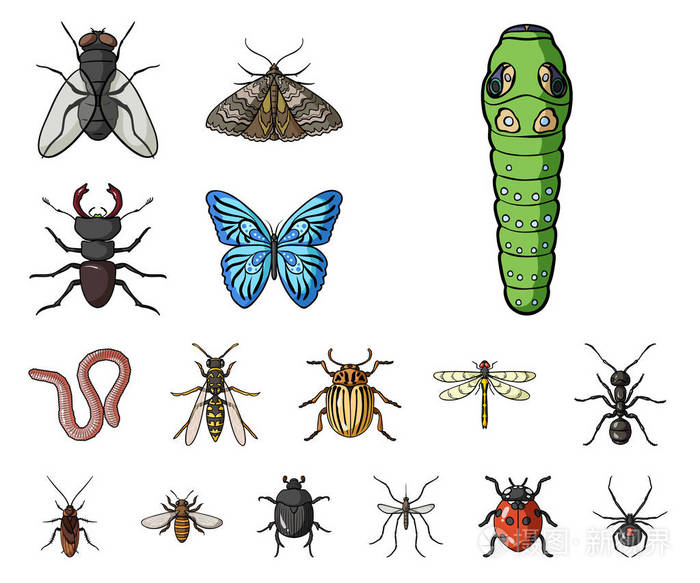 不同种类的昆虫卡通图标集为设计收藏 昆虫节肢动物矢量符号股票网页插图插画 正版商用图片15y38q 摄图新视界