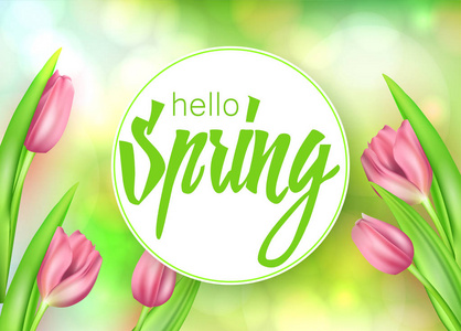 春天的文字与逼真的郁金香花.向量例证 eps10照片