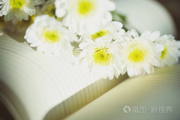 花,茶和书躺在桌子上