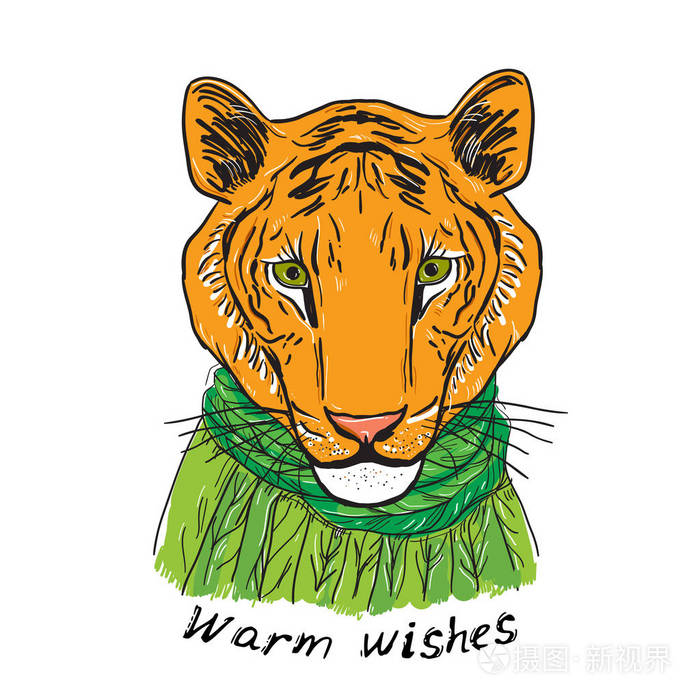 s card design Tiger head in a knitted sweater and a green scarf.
