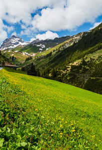 夏季阿尔卑斯山山景到比伯科普夫山沃思沃拉尔博格奥地利。