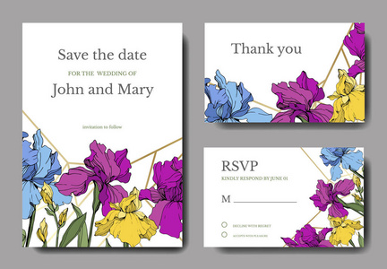 矢量虹膜。 雕刻的水墨艺术。 带有装饰花的婚礼背景卡。 谢谢RSVP邀请卡图形设置横幅。