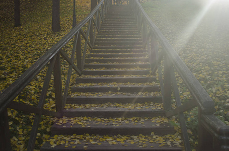 通往秋天的楼梯一个通往上面的旧木楼梯上覆盖着落叶. 阳光明媚.照片