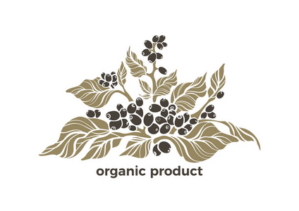 新鲜健康产品天然绿色植物草本生态标志图形艺术造型插图白底手绘