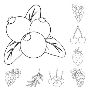 红莓浆果图片-红莓浆果素材-红莓浆果插画-摄图新视界