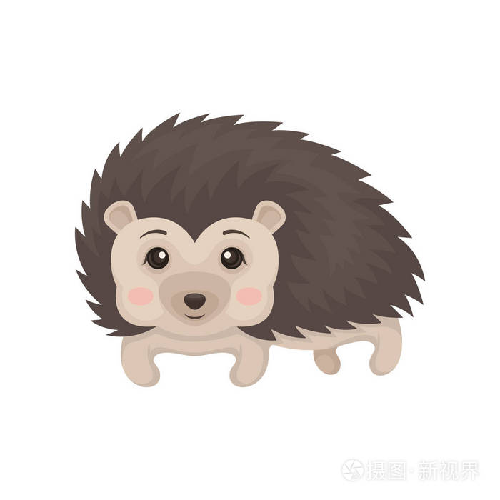 可爱的刺猬动物动画片字符向量在白色背景例证