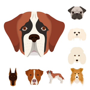 矢量插图可爱和小狗图标。 一套可爱和动物股票符号的网络。