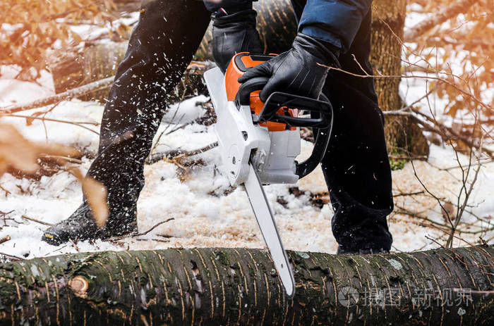 砍伐森林.伐木.脚手架