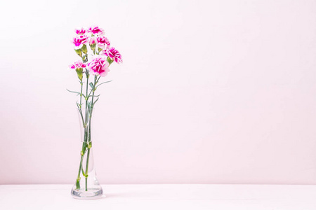 粉色春花，木质背景，复印空间