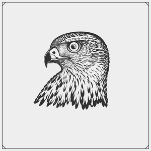 纳粹鹰徽纹身图片