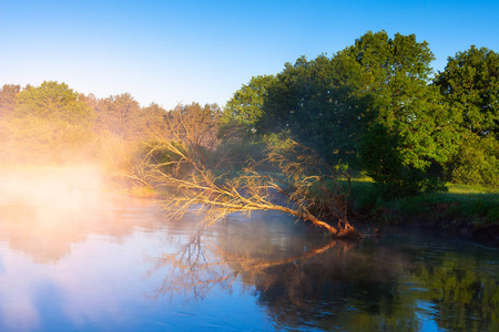 春天的河流自然在早晨的阳光下