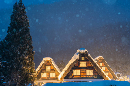 雪落在阳光下的节日冬天在日本芝