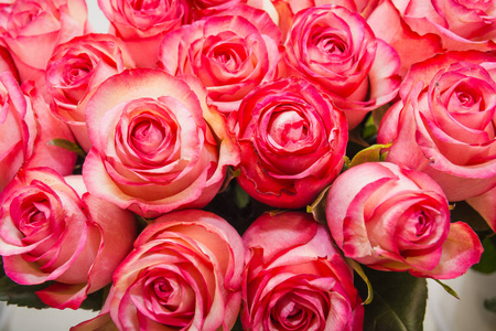 粉红玫瑰。 这是很多粉红色的玫瑰。 玫瑰花束。