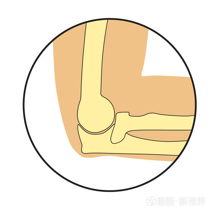 图片作者viktoriatkachuk新媒体授权标准授权扩展授权如何选择eps源