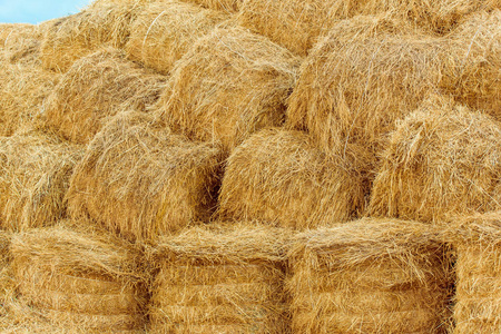 黄色的干草和蓝天和云彩. 美丽的夏日风景.照片