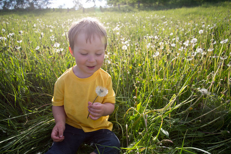 小男孩在夏天的田野上吹蒲公英